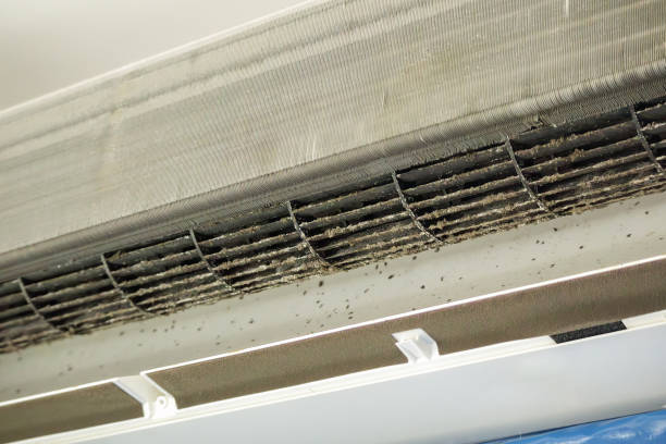 Best Commercial Air Duct Cleaning  in Tazewell, VA